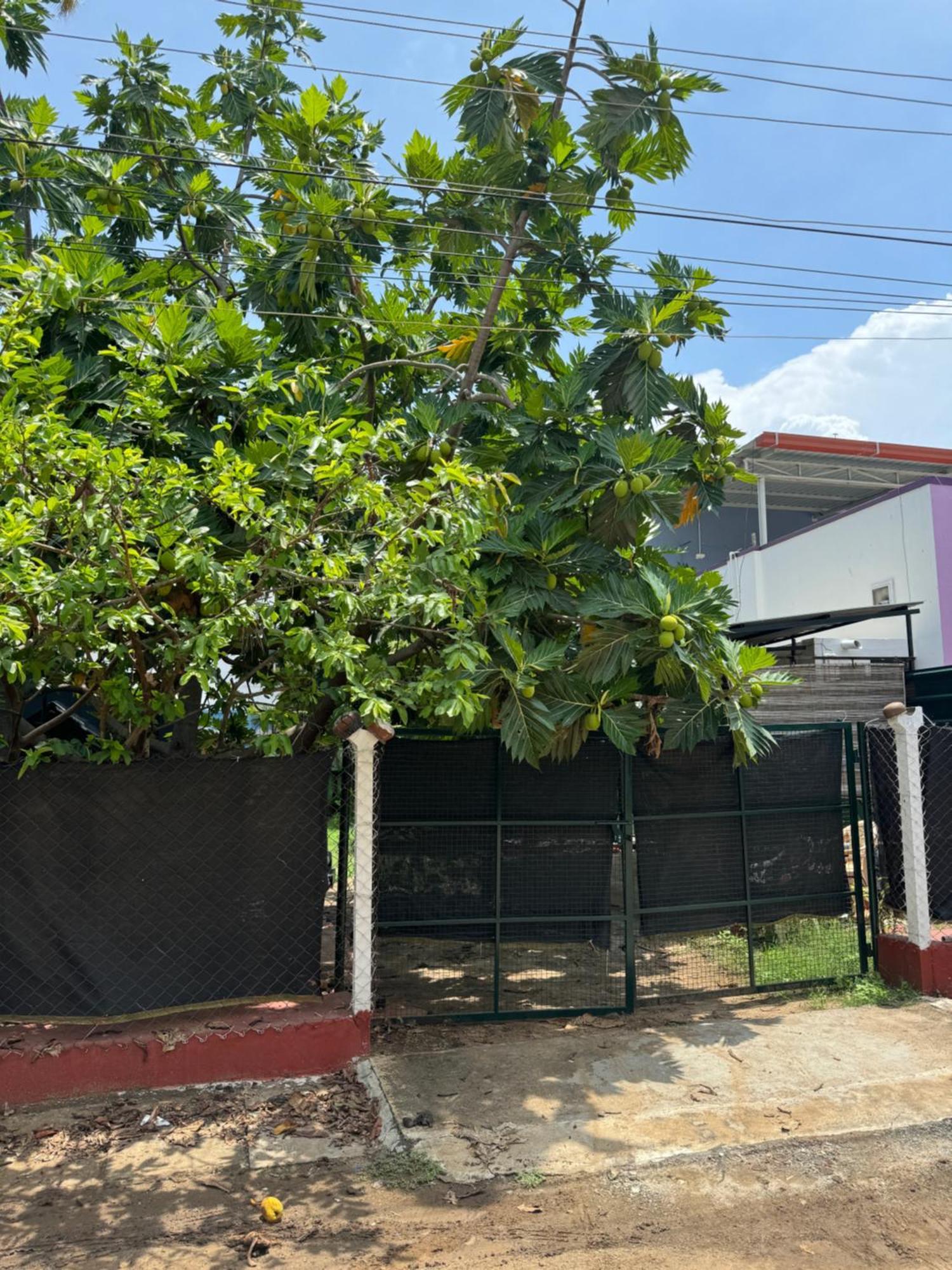 The Lazy Palm Shack Hotel Coimbatore Buitenkant foto